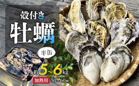【2026年2月以降発送】殻付き牡蠣(加熱用)　半缶（約5～6kg）【牡蠣】
