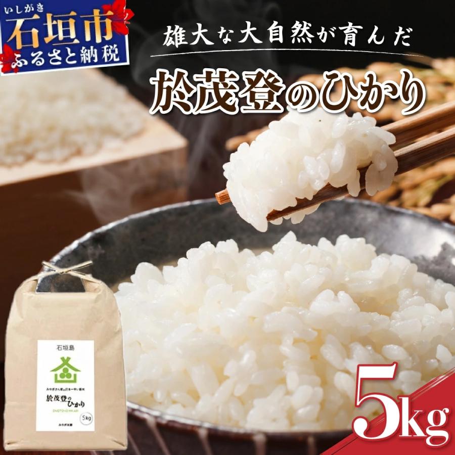 ふるさと納税 石垣市 石垣島産 於茂登(おもと)のひかり 5kg みやぎ米屋