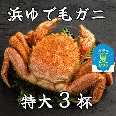 ふるさと納税 紋別市 【お中元】流氷明け浜ゆで毛ガニ　特大3杯