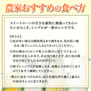 【A7093】＜期間限定＞天塩川源流スイートコーン ゴールドラッシュ (8本) 【2025年8月下旬より順次発送】北海道産 北海道 士別市 とうもろこし トウモロコシ とうきび コーン 野菜 産地直送