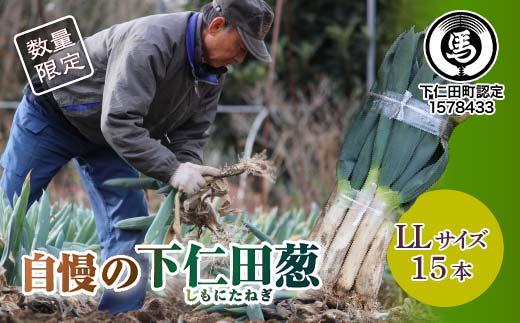 自慢の下仁田葱（LL 15本） とろける 甘い ねぎ ネギ 王様ねぎ 特産 栄養たっぷり ブランド 上州ねぎ すきやき F21K-557