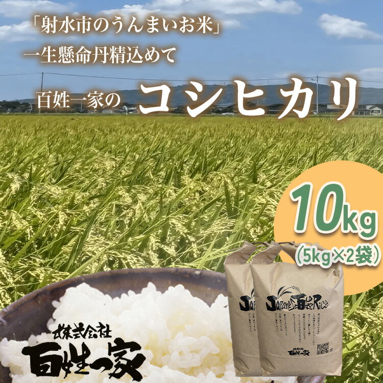 【ふるさと納税】【射水市】【射水の美味しいお米】百姓一家のコシヒカリ 10kg（5kg×2）【精米】｜お米 米 こめ コメ こしひかり コシヒカリ 令和7年産米 ブランド米 銘柄米 10kg 10キロ 白米 新米 富山県産 射水市産 北陸 人気 ランキング おすすめ ※離島への配送不可