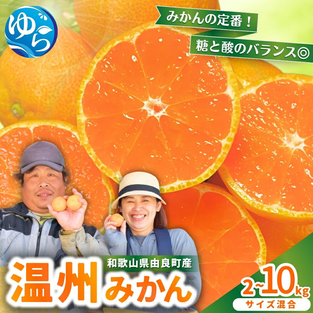 【ふるさと納税】 温州 みかん / 柑橘 甘い 和歌山 2L 2kg 5kg 10kg ≪配送月が選べる！≫