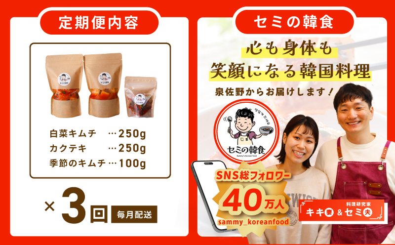 【定期便】韓国人が作る！無添加・砂糖不使用のキムチセット500g＆お試し季節のキムチ100g 全3回【本場 韓国 きむち 人気 無添加 韓国料理 惣菜】 G3998