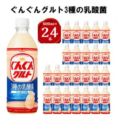 ふるさと納税 館林市 『ぐんぐんグルト』3種の乳酸菌PET500ml　24本