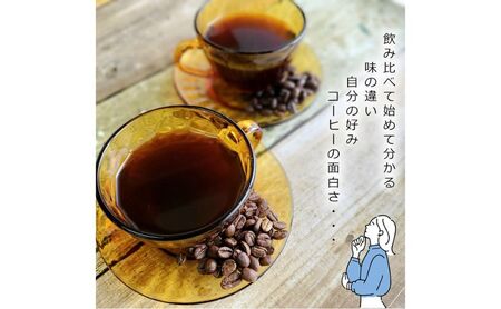 スペシャルティコーヒー　焙煎度合の違いを体感。飲み比べセット　100g×2袋 飲み比べセット100g×2袋（粉）