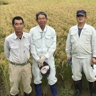 ふるさと納税 日出町 【令和8年産米】恋の予感10kg |  | 01