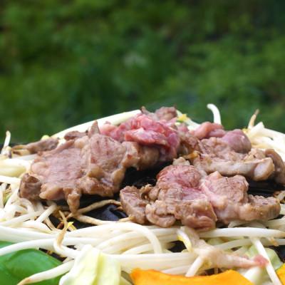 ふるさと納税 室蘭市 味付けジンギスカン250g×4 |  | 01