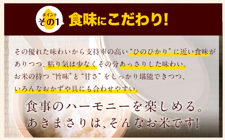 熊本県推奨品種 令和3年産 あきまさり 12kg(6kg×2袋) 無洗米 令和3年《7-14営業日以内に出荷予定(土日祝除く)》---ng_aki3_wx_22_10000_m12kg---st-p