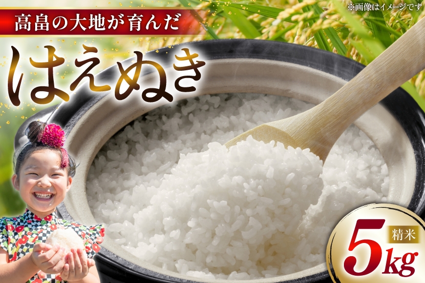 
                  令和7年産 慣行栽培 はえぬき 5kg [石川重蔵商店 山形県 高畠町 tk06bcz280000] 精米 白米 米 お米 ブランド米 ごはん ご飯
                