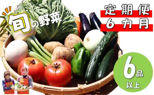【定期便 6ヶ月】  旬の野菜セットA 《６品以上》岩手県 北上市 I0089 野菜 やさい 詰め合わせ 旬の野菜 詰合わせ セット 山菜 サンサイ さんさい 常備 常備野菜 家庭応援 新鮮 産直 産地直売所
