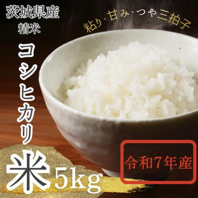 ふるさと納税 茨城県 【茨城県産】2025年新米 茨城県産 コシヒカリ米(精米)5kg