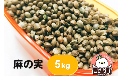 麻の実 5kg サイトウ・コーポレーション 飼料