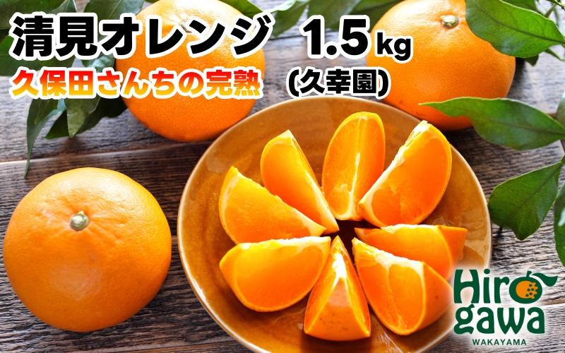 完熟 清見 オレンジ 1.5kg 久幸園 / 清見オレンジ 清見タンゴール きよみ 清美 甘い 高級 和歌山 柑橘 ※4月上旬～5月下旬に順次発送 【hsk009-r-1d5】