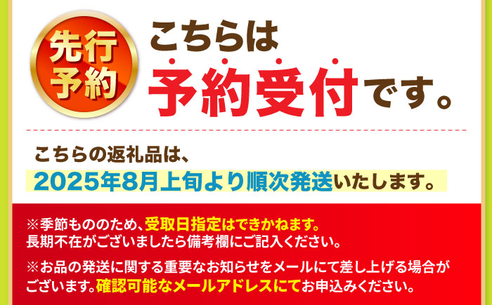 【8月発送】 シャインマスカット 計2kg（3〜4房）＜濱崎農園＞ [CGN003]
