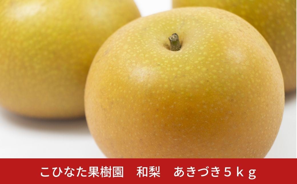 
                  ＊先行予約＊ あきづき ５kg [2026年発送分] 令和８年産 和梨 新潟 三条 燕三条 果物 贈答用  [こひなた果樹園] 【014S159】
                