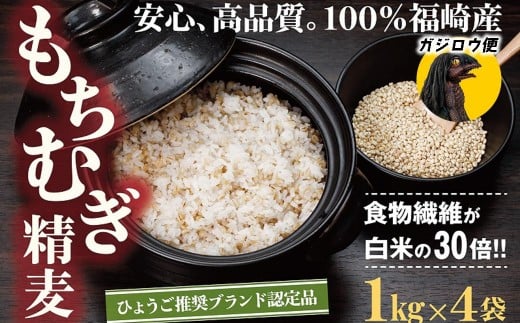 ガジロウ便【関東・中部・近畿・中国・四国】もちむぎ精麦 4kg