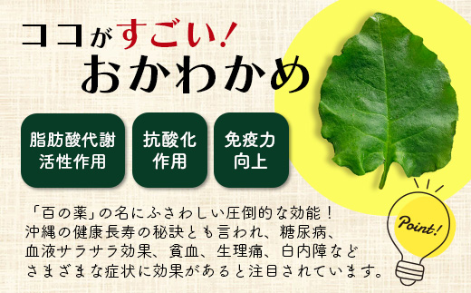 《予約受付》沖縄の健康長寿の秘訣「琉球百薬（おかわかめ）」10袋と旬のおまけ野菜詰め合わせ！農薬を使わない栽培方法を続けるミネイさんの野菜 2025年2月上旬以降～順次発送【 沖縄 石垣島 石垣島産 