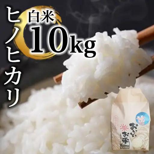 米 ヒノヒカリ10㎏(令和7年産) 白米【36-004】