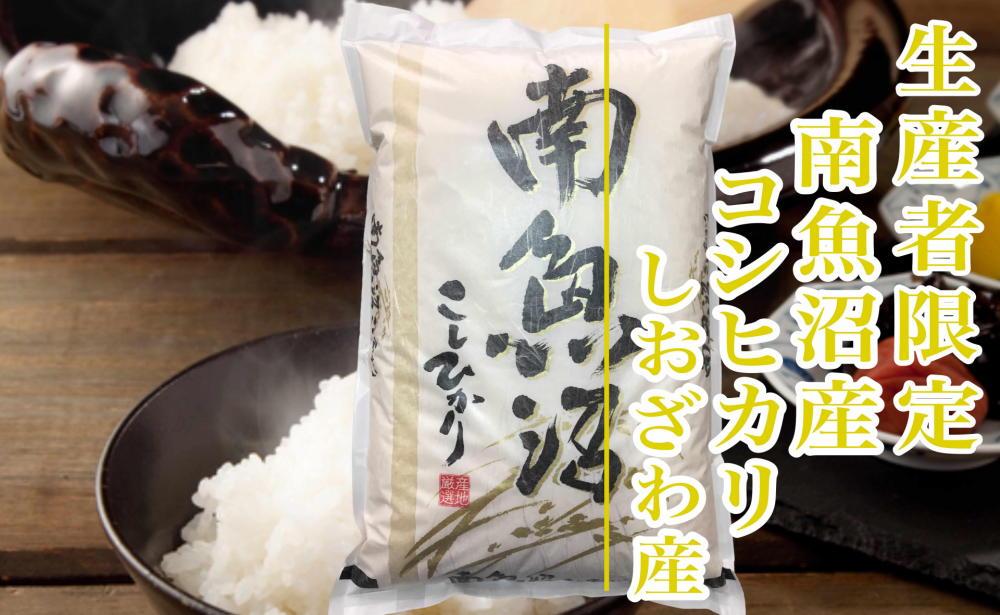 【新米予約・令和6年産】定期便９ヶ月：精米20kg生産者限定 南魚沼しおざわ産コシヒカリ