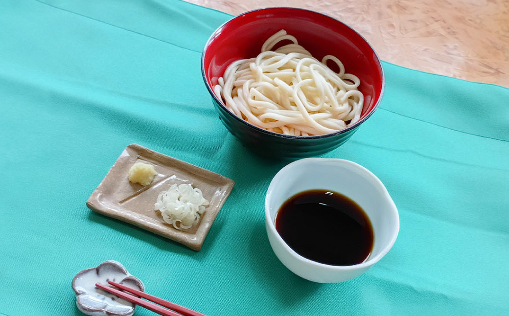 生うどん 100g×5人前×2セット
