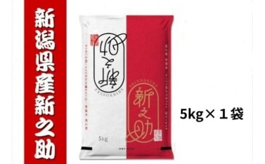 【令和7年産新米】新之助 5kg  白米 精米 井上米穀店 1I26019
