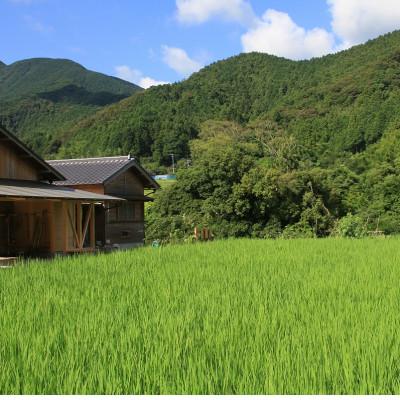 ふるさと納税 東温市 〈坂本自然農場 穂田琉〉 JINEN:にこまる　精米5kg |  | 02