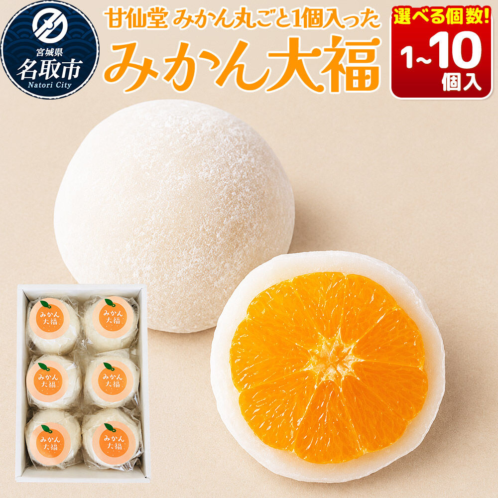 【ふるさと納税】和菓子 甘仙堂 みかん丸ごと1個入った みかん大福【選べる個数】（1個／6個／10個入り） 大福 和菓子 スイーツ [みちのく和菓子処 甘仙堂 老舗 和菓子 お菓子 和スイーツ お茶菓子 宮城]
