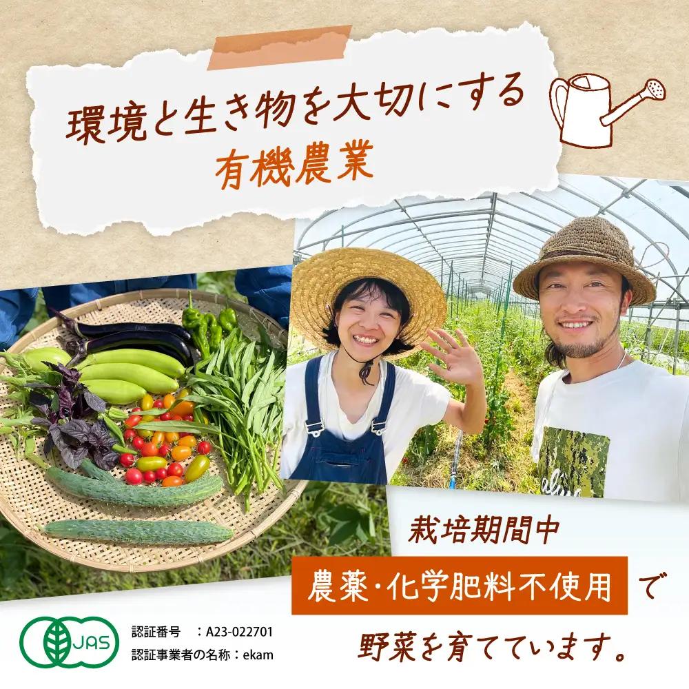 乾燥小粒青大豆（品種：黒神）900g【ekam】 大豆  [AXBV001]