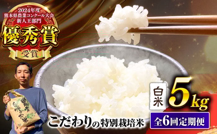 
             【令和7年度】 【全6回定期便】 くまさんの輝き 白米 5kg 計30kg 米 こめ コメ お米 はくまい 精米【坂本農園】 [AYCC029]
          