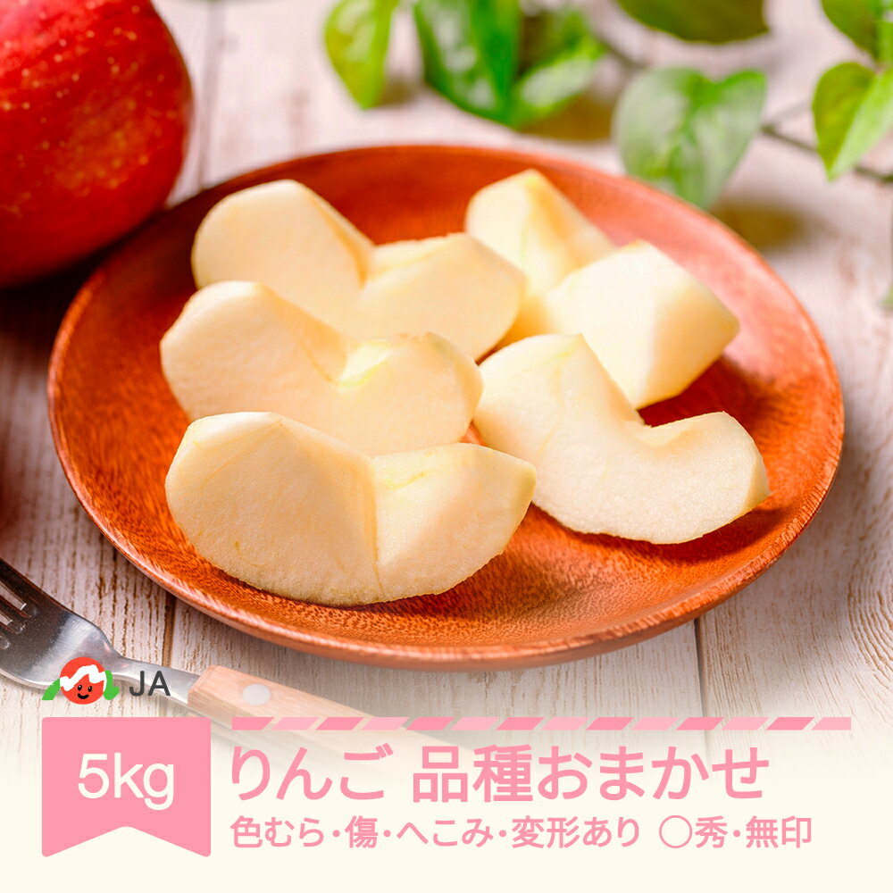 【ふるさと納税】【先行予約】りんご 品種おまかせ 5kg 色むら 傷あり へこみ 変形 昂林 シナノスイート サンふじ ◯秀 無印 2026年産 令和8年産 送料無料 ja-ri3kx5 ※沖縄・離島への配送不可