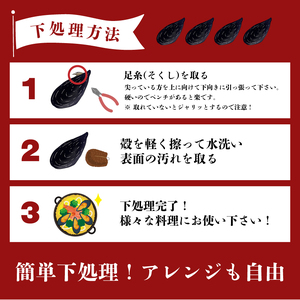 三陸産 活ムール貝 3kg ムール貝