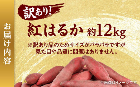 【訳あり】 【数量限定】 紅はるか さつまいも 約12kg 1箱 家庭向け 【Shiro Planning 株式会社】[AYAJ001]