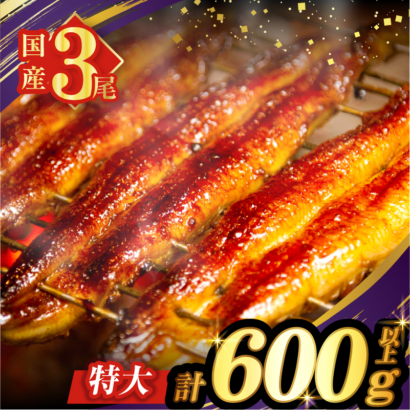 うなぎ蒲焼3尾(さんしょう・たれ付き)計600g以上_T026-0146【鰻 魚 魚介 加工品 九州産 国産 人気 ギフト 食品 おかず 惣菜 高級 お土産 贈り物 送料無料 プレゼント】