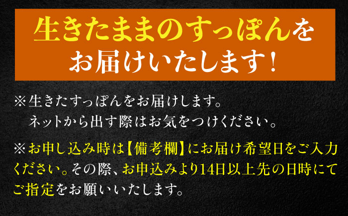 【全3回定期便】生きたまま届く最高級食材！江田島育ちのすっぽん【活き】 江田島市/平井興産株式会社[XAC007] 定期便