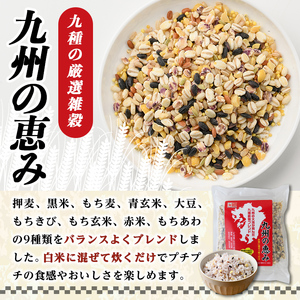 九州の恵み(70P：1袋 7Ｐ入り) 雑穀 押麦 黒米 もち麦 青玄米 大豆 玄米 赤米 玄米 ブレンド 栄養 バランス 米 白米 混ぜるだけ 健康 弁当 おにぎり 個包装 小分け 常温 常温保存【k