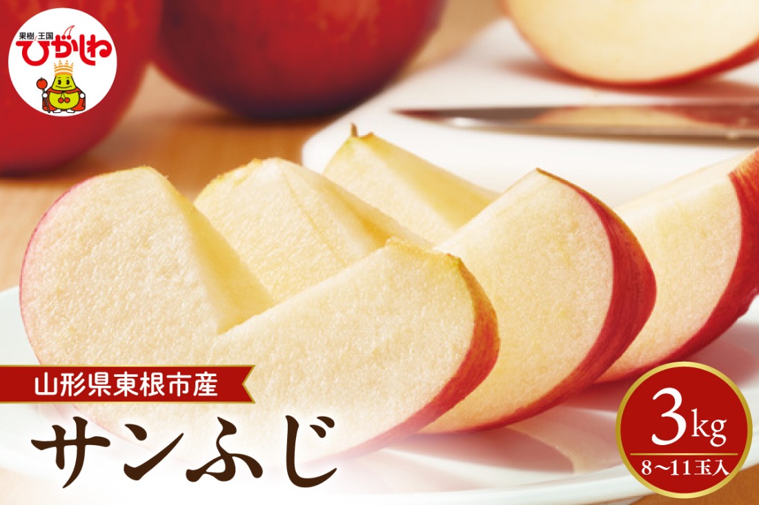 【2026年産先行予約】 太陽の恵みをいっぱいに浴びたりんご「サンふじ」 約3kg (8～11玉入) 山形県 東根市　hi026-061