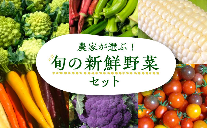 
                  農家が選ぶ！ 旬の新鮮野菜セット《豊前市》【田村農産】[VBE002] 野菜 やさい 野菜詰合せ やさいセット 詰め合わせ セット 国産 福岡県 産直 春野菜 夏野菜 秋野菜 冬野菜
                