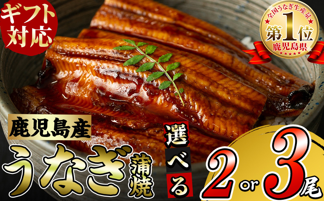 
            【ギフト対応】鹿児島県大隅産くすだ屋の極上うなぎ(120g×3尾 or 190g×2尾)
          