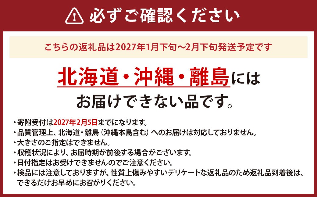 熊本県産　EC12　イーシージュウニ　サンセットオレンジ （約4キロ）