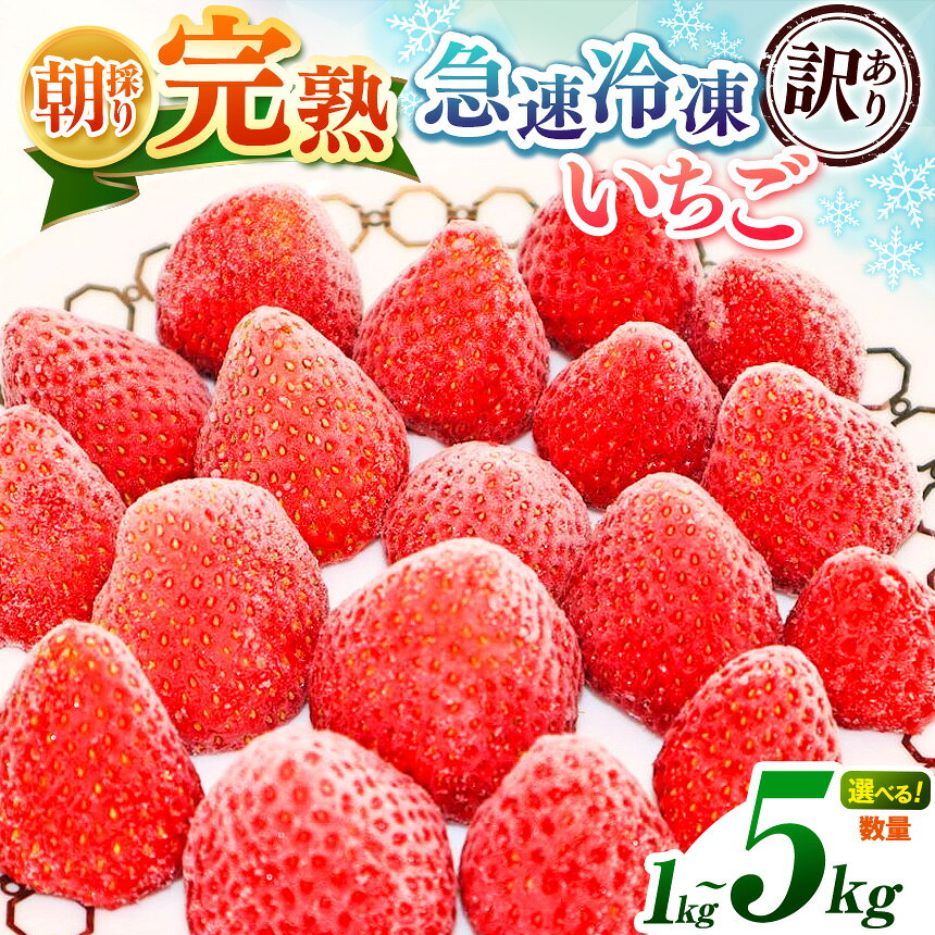 【ふるさと納税】【 訳あり 】 急速冷凍 完熟 冷凍いちご 選べる 容量 1~5kg 国産 渡邉いちご園| 不揃い 冷凍便 果物 フルーツ くだもの いちご イチゴ 苺 冷凍 いちご 1kg 2kg 3kg 4kg 5kg 規格外 小粒 イチオシ 千葉 君津 きみつ 8000円