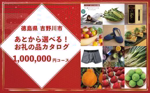 ゆっくりえらべる カタログ 100万円 コース あとから選べる 鮮魚 肉 米 酒 定期便 スイーツ フルーツ 選べる ギフト セレクト 【 徳島県 吉野川市 】