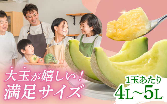 【数量限定】【先行予約】アールスメロン 約4kg～5kg（4L～5L）2玉入【株式会社 鹿本町振興公社（水辺プラザ鹿本）】 [ZEG001]