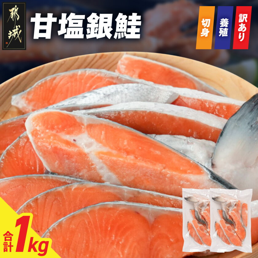 【ふるさと納税】【訳あり】甘塩銀鮭切身(養殖)1kg - 銀鮭 加熱用 切身 サケ 焼き魚 ホイル焼き お茶漬け 冷凍 500g×2P 養殖 訳あり 家庭用 送料無料 AA-N7-001【宮崎県都城市は2年連続ふるさと納税日本一！】