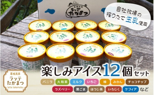 
                  ラッテたかまつ 楽しみアイス１２個セット ／ バニラ 大和茶 ミルク 苺 ブルーベリー 黒ごま【latt005】
                