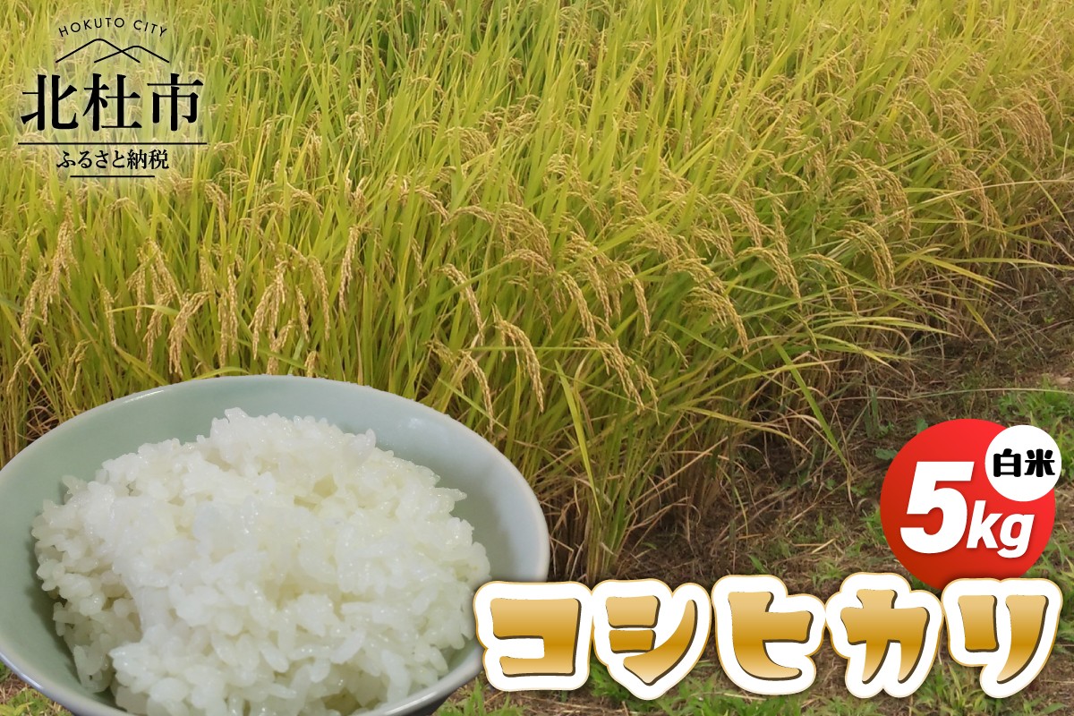 
                  コシヒカリ白米5kg 米 こめ 1袋 ブランド米 モミで保存 精米 香り 甘い 粘り 山梨県 北杜市 
                
