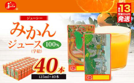 ジューシー みかんジュース 100％ (学給) 125ml×36本 合計4500ml  4.5L 蜜柑ジュース ミカンジュース オレンジジュース 紙パック 飲料 ジュース 国産 九州 熊本県 熊本市
