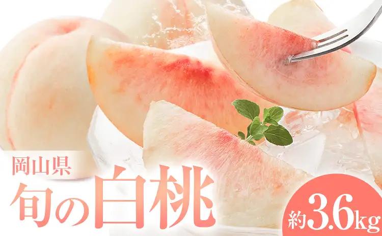 岡山県の旬の白桃 	約3.6kg 花田青果株式会社