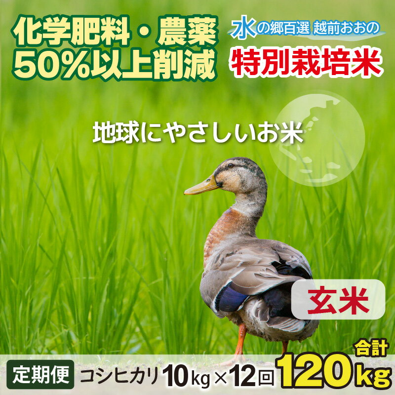 【ふるさと納税】【令和7年産 新米】【12ヶ月定期便】こしひかり 10kg × 12回 計 120kg【玄米】減農薬・減化学肥料 「特別栽培米」－地球にやさしいお米－【お米・コシヒカリ・玄米】[L-003001] | コンシェルジュ