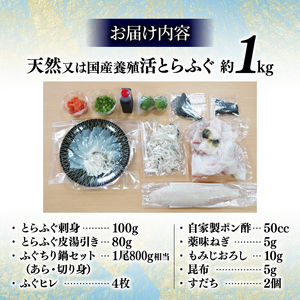 期間限定 とらふぐ まるごと セット てっさ てっぴ ふぐちり ふぐヒレ 冷凍 特製 ポン酢 薬味 付き 贅沢 国産 すだち ふぐ皮 ちり鍋 新鮮 てっさ盛 ふぐ刺し ふぐ皮 刺し身 ふぐ 高級魚 鮮